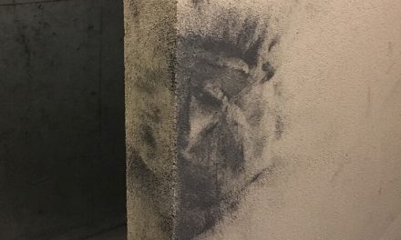 Dégradations sur les Murs de la Résidence