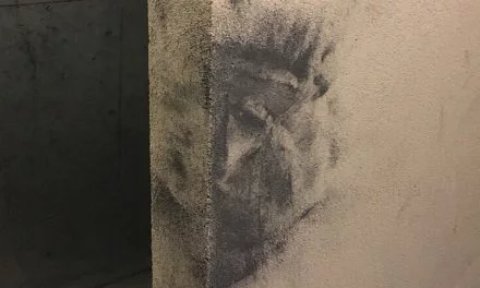 Dégradations sur les Murs de la Résidence