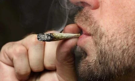 Odeurs de Cannabis