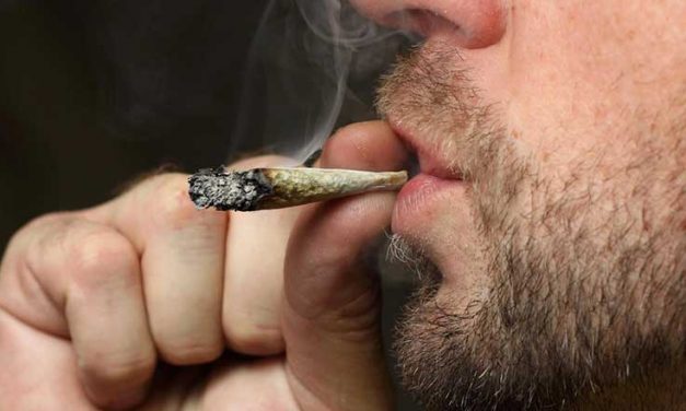 Odeurs de Cannabis