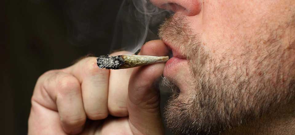 Odeurs de Cannabis
